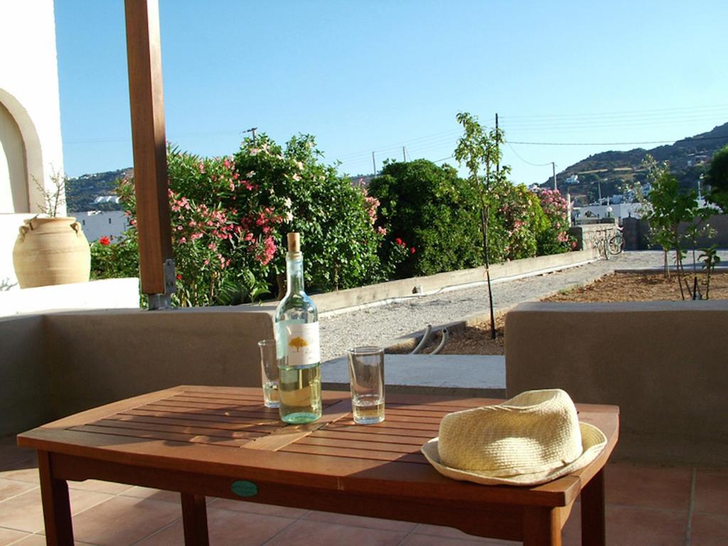 Villa Patmos Netia *